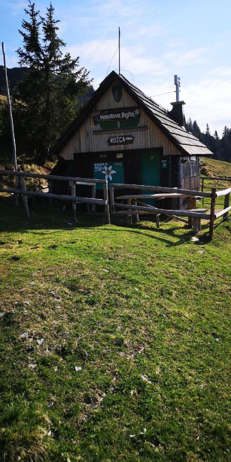 Kiara 7 Lejlighed Jesenice Eksteriør billede