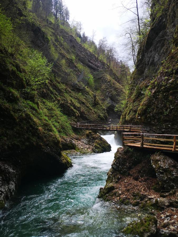 Kiara 7 Lejlighed Jesenice Eksteriør billede